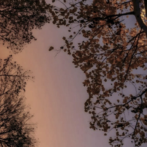 Beauty & Mood: How October Affects Your Skin and Spirit
